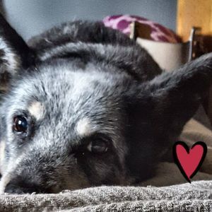 Meet your Posher, Trina